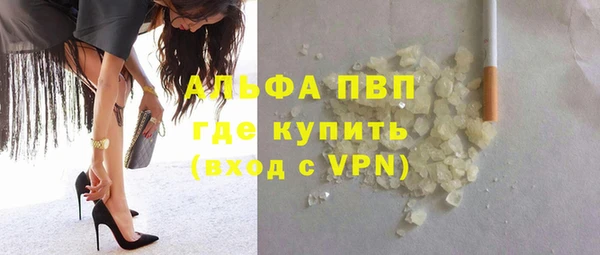 стафф Зеленокумск