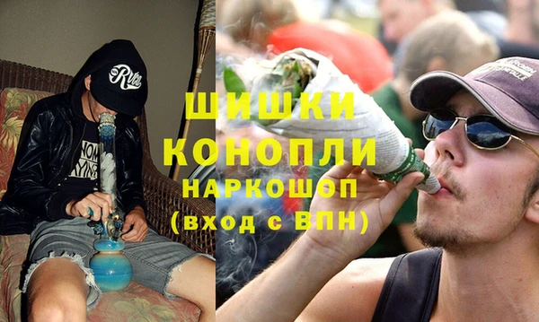 PSILOCYBIN Заволжье