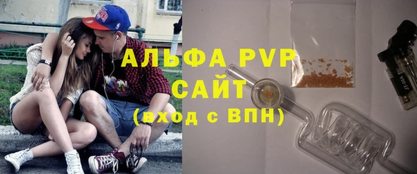 PSILOCYBIN Заволжье